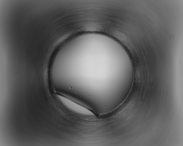 X0000094230535200711161911