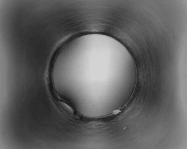 X0000094230536200711161911