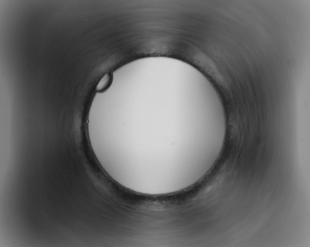 X0000094230538200711161911