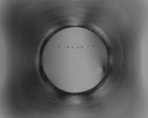 X0000094230540200711161911