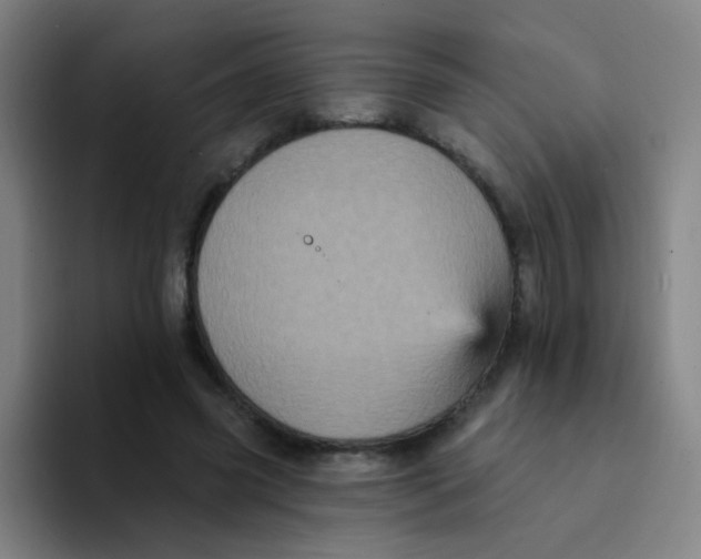 X0000094230541200711161911