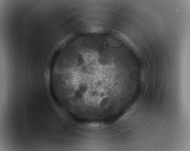 X0000094230542200711161911