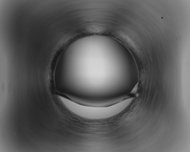 X0000094230544200711161911