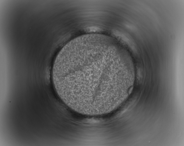 X0000094230545200711161911