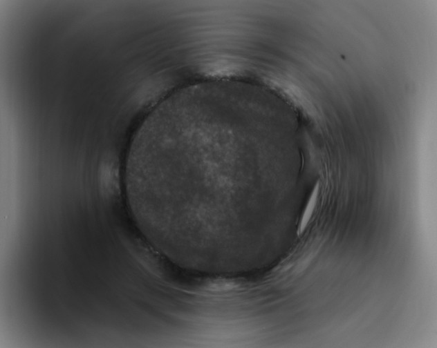 X0000094230547200711161911