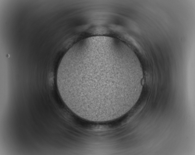 X0000094230549200711161911