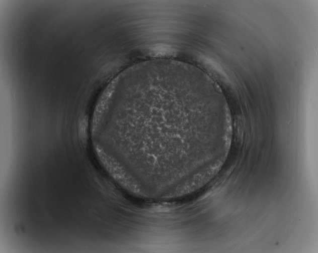 X0000094230550200711161911