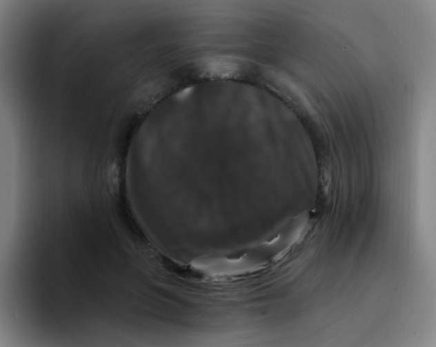 X0000094230551200711161911