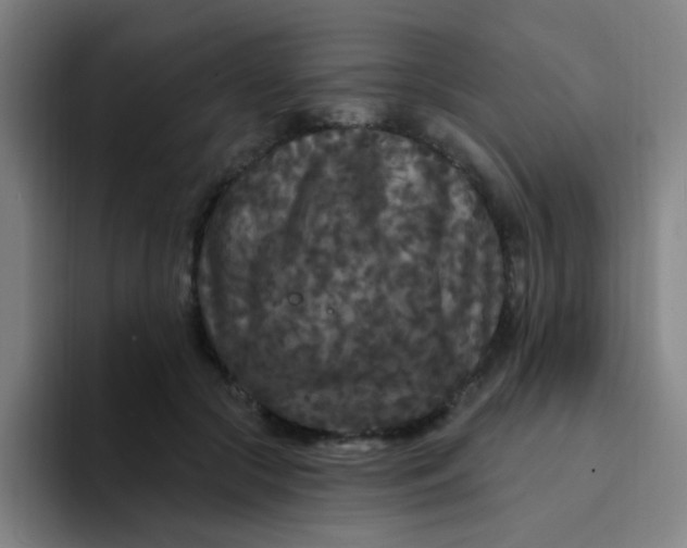 X0000094230553200711161911