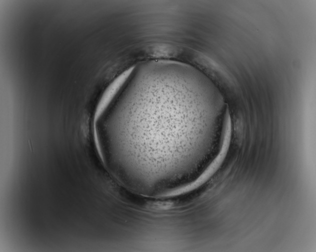 X0000094230554200711161911
