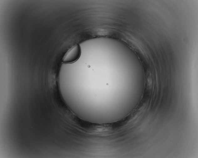 X0000094230555200711161911