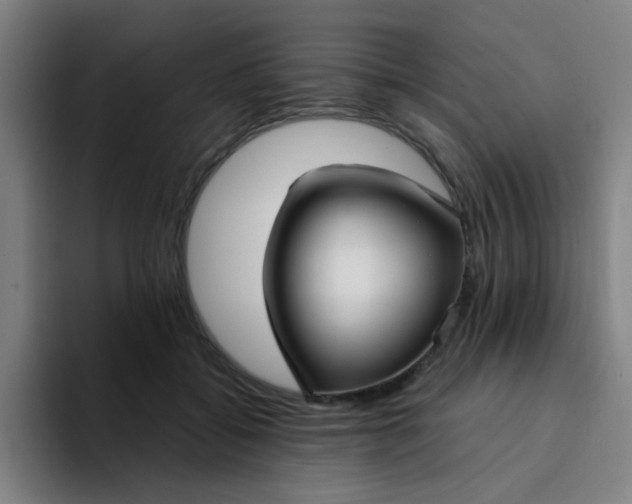 X0000094230556200711161911