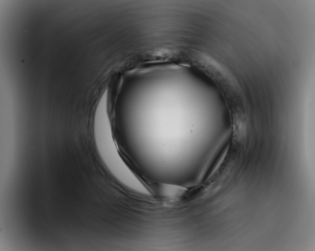 X0000094230558200711161911