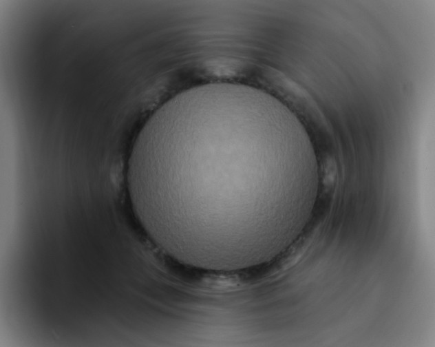 X0000094230559200711161911