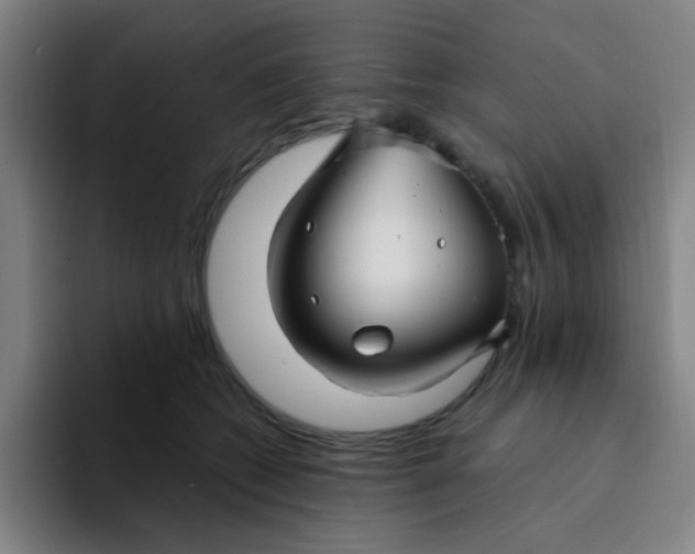 X0000094230562200711161911