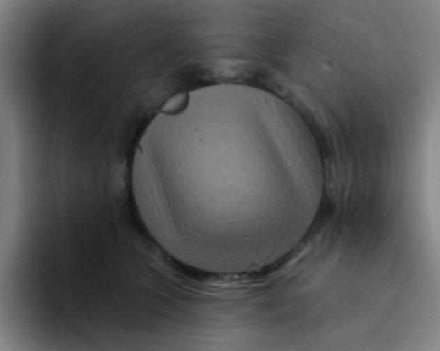 X0000094230563200711161911