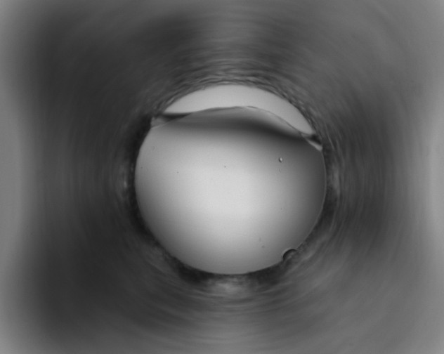 X0000094230567200711161911