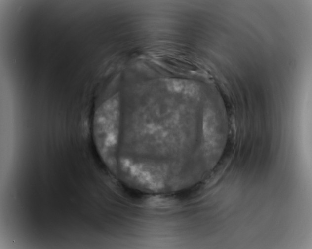 X0000094230568200711161911