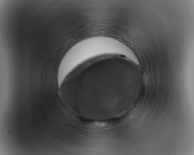 X0000094230570200711161912