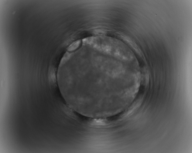 X0000094230573200711161912