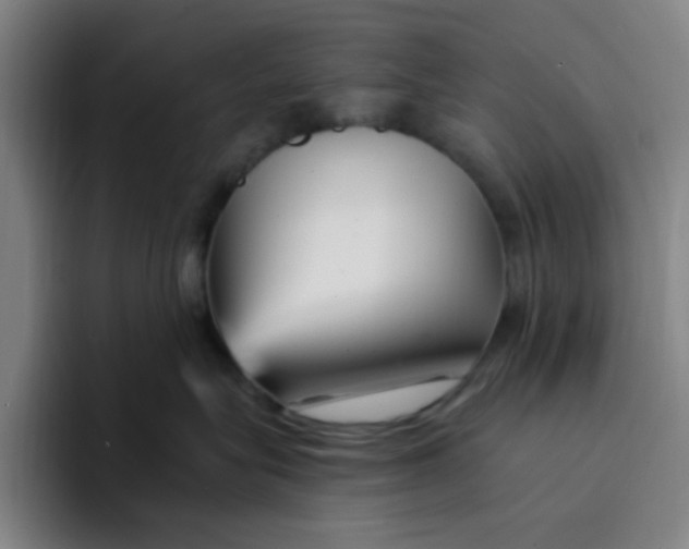 X0000094230575200711161912