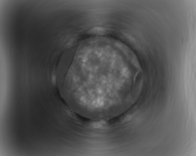X0000094230576200711161912