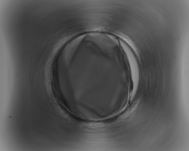 X0000094230577200711161911