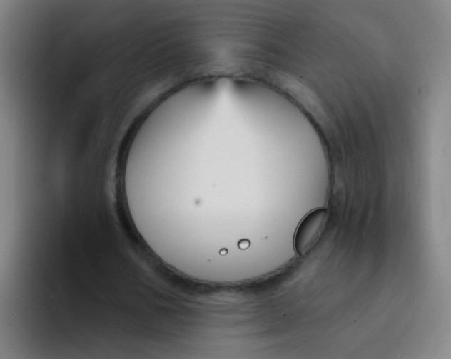 X0000094230578200711161911