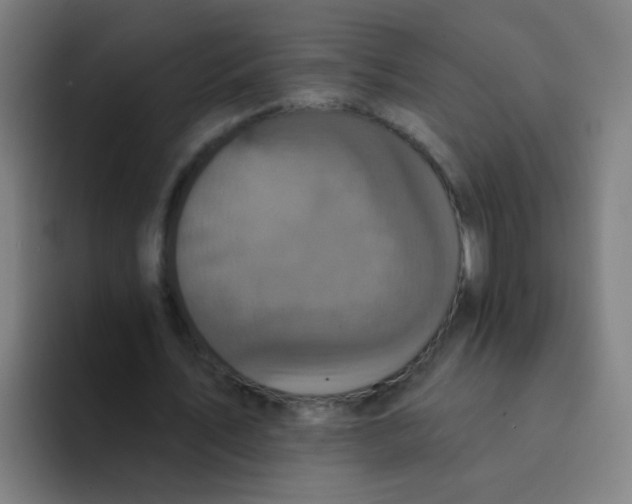 X0000094230579200711161911