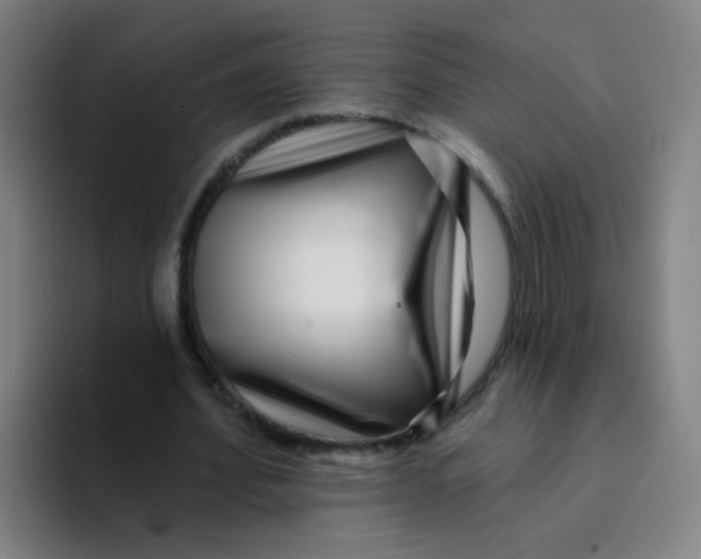 X0000094230580200711161911