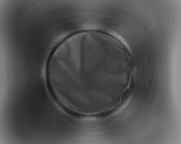 X0000094230581200711161911