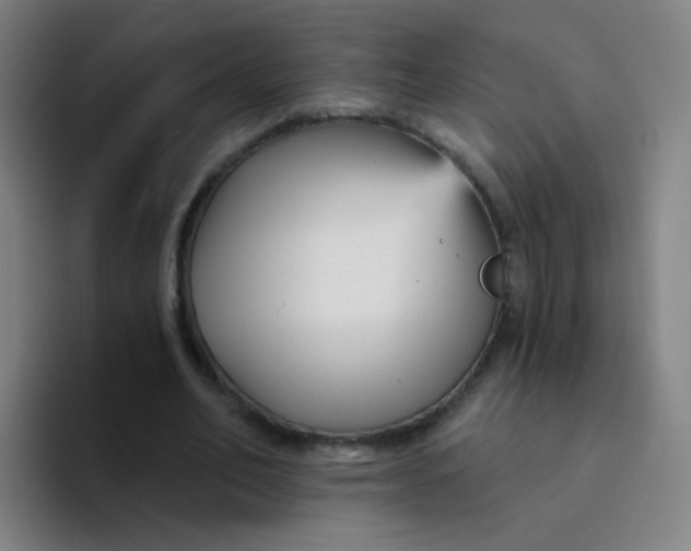 X0000094230582200711161911