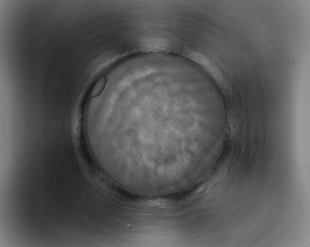 X0000094230583200711161911
