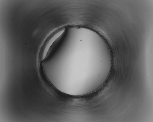 X0000094230584200711161911