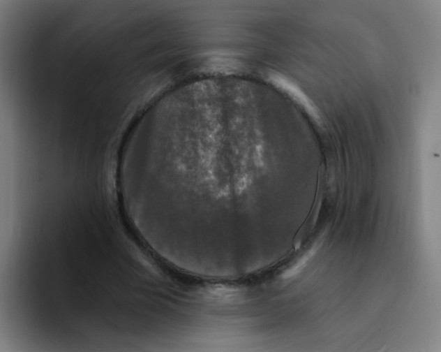 X0000094230585200711161911