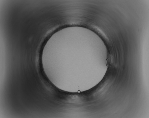 X0000094230588200711161911