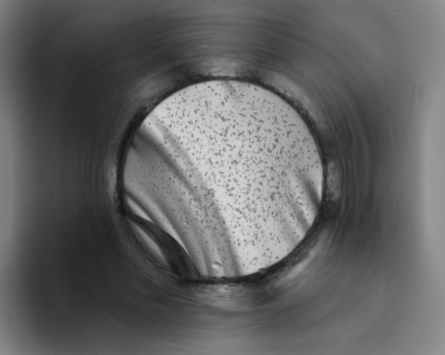 X0000094230589200711161911