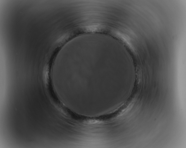 X0000094230590200711161911