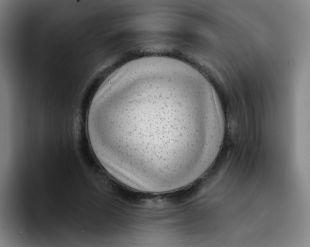 X0000094230591200711161911