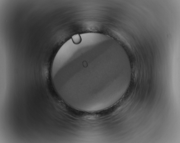 X0000094230595200711161911