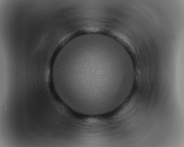 X0000094230596200711161911
