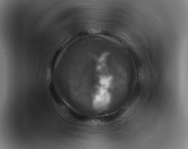 X0000094230598200711161911