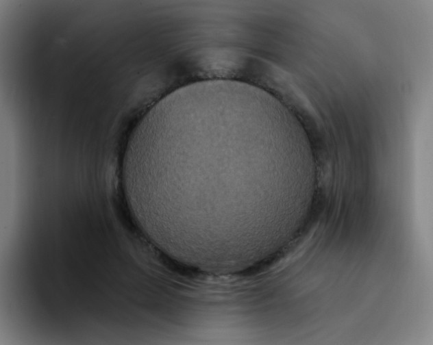 X0000094230599200711161911