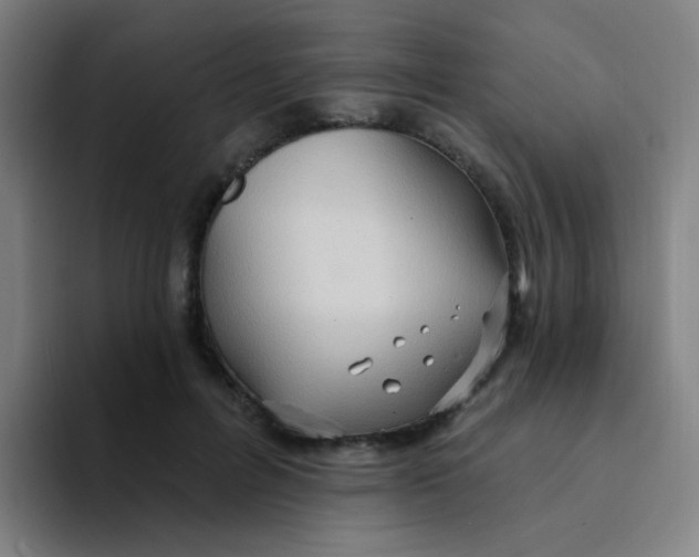X0000094230600200711161911