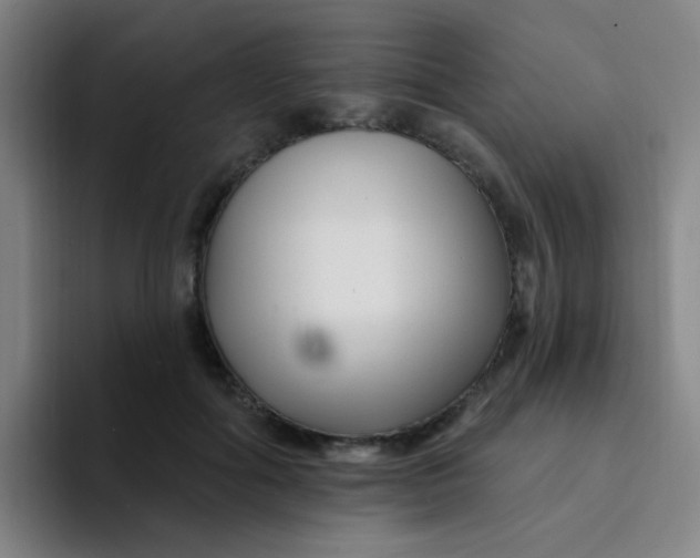 X0000094230602200711161911