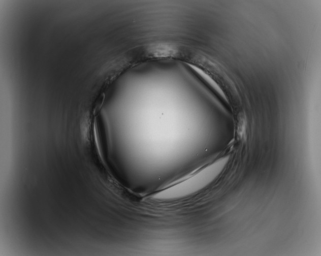 X0000094230604200711161911