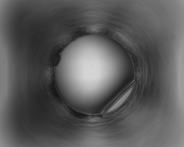 X0000094230605200711161911