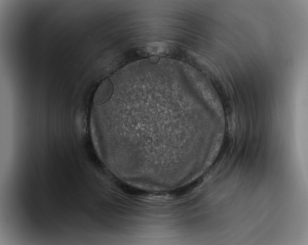 X0000094230606200711161911