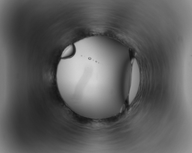 X0000094230608200711161911