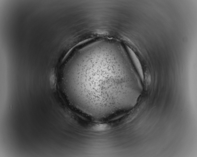 X0000094230609200711161911